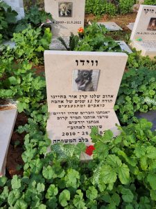 בית קברות לחיות