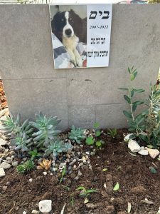 בית קברות לחיות