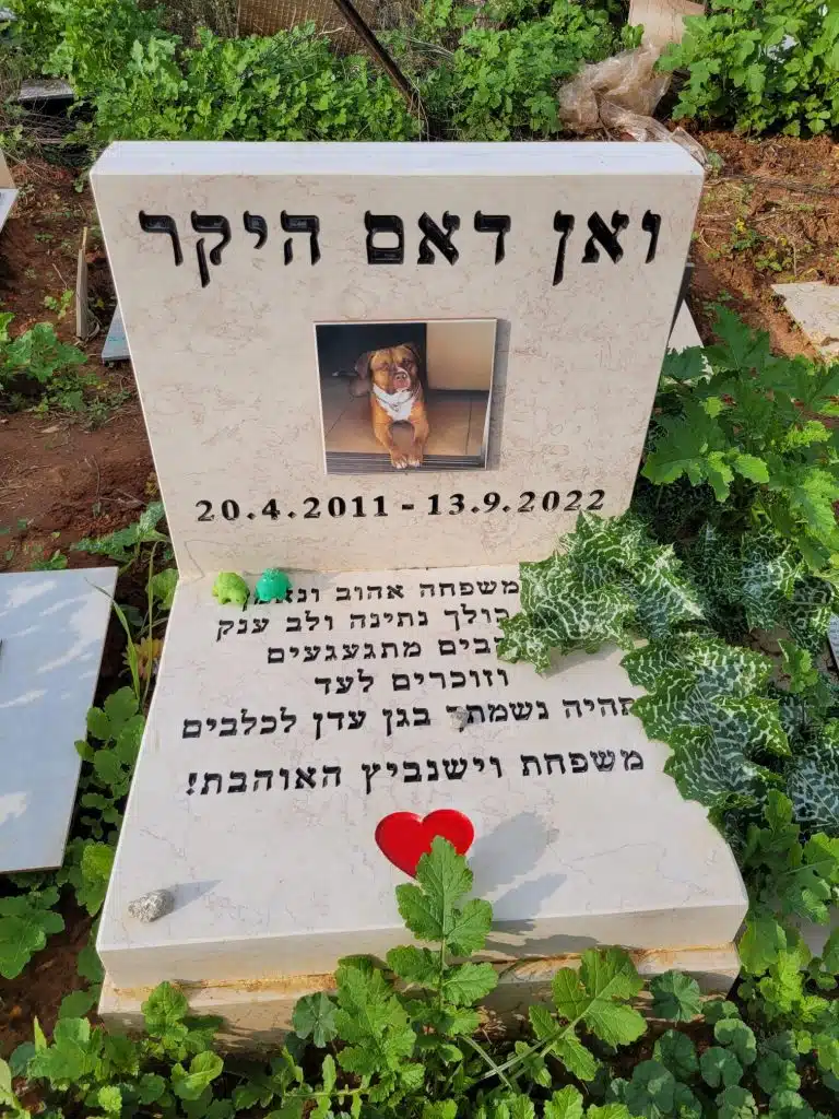 בית קברות לחיות