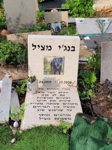 בית קברות לחיות