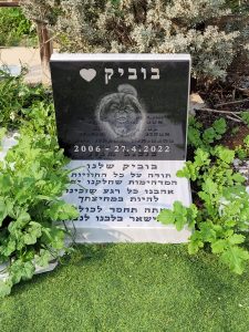 בית קברות לחיות