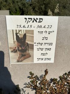 בית קברות לחיות