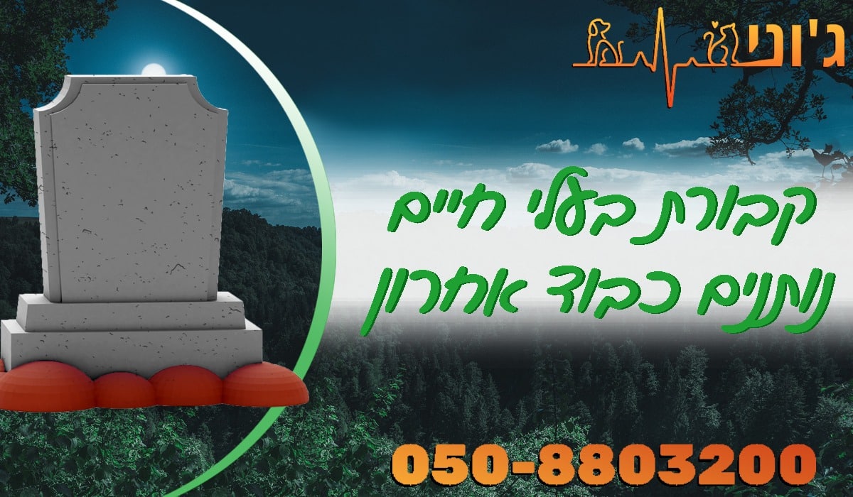 קבורת בעלי חיים