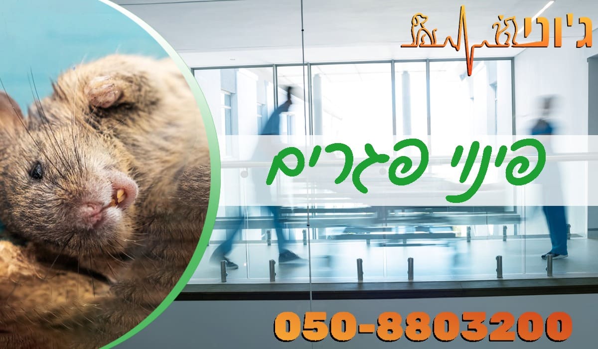 פינוי פגרים