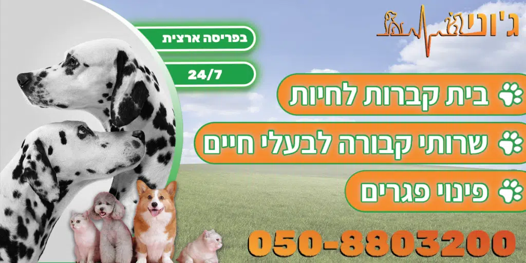 פינוי פגרים כלבים חתולים יונים ועוד..