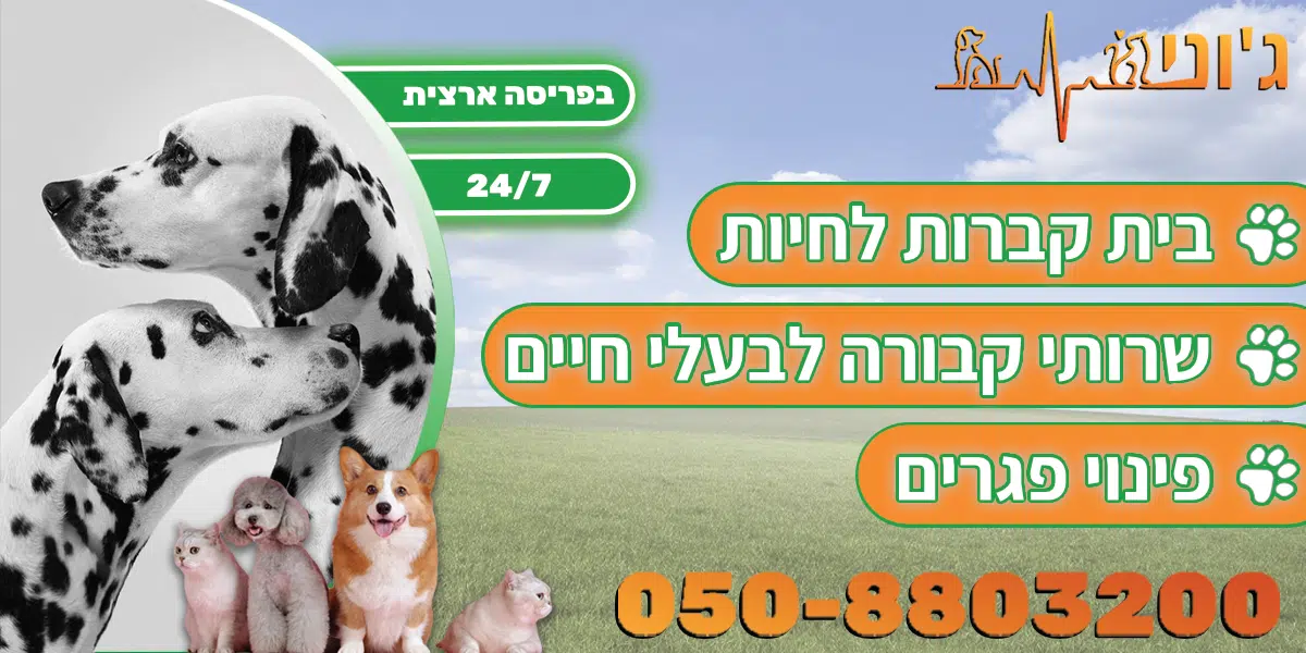 פינוי פגרים כלבים חתולים יונים ועוד..