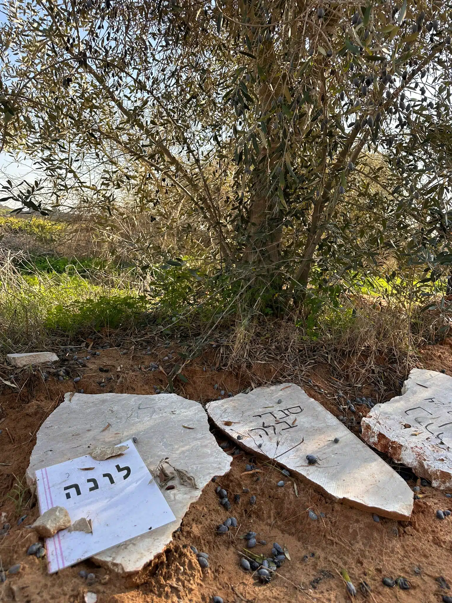 קבורת בעל חיים