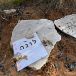 קבורת חתול