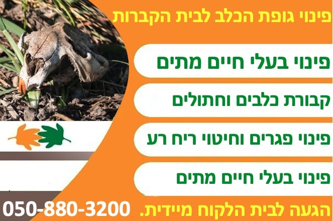 פינוי בעלי חיים ופגרים