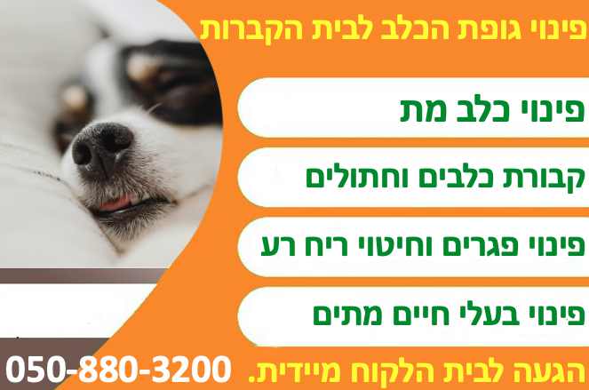 פינוי כלב מת