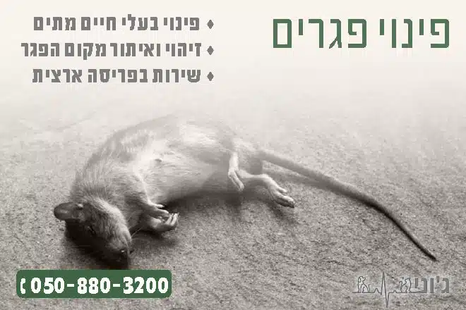 פינוי פגרים