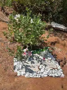 קבורת גרסי הכלבה