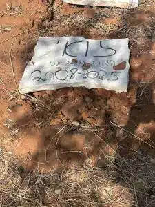 קבורת זואי הכלב