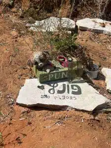 קבורת פונץ הכלב