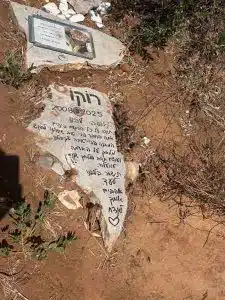 קבורת רוקו הכלב