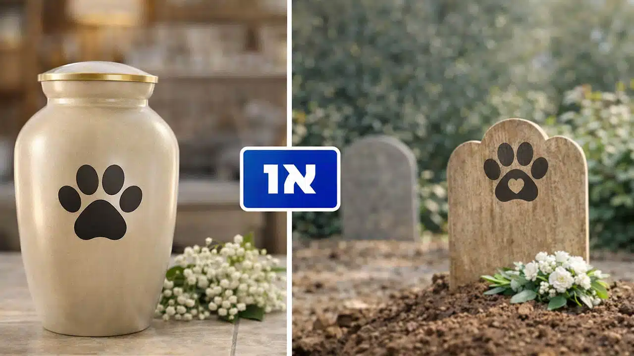 קרמטוריום או קבורה לחיות מה עדיף לבחור