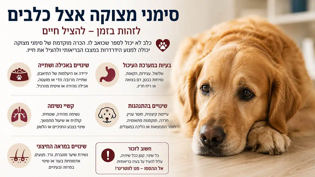 סימני מצוקה אצל כלבים