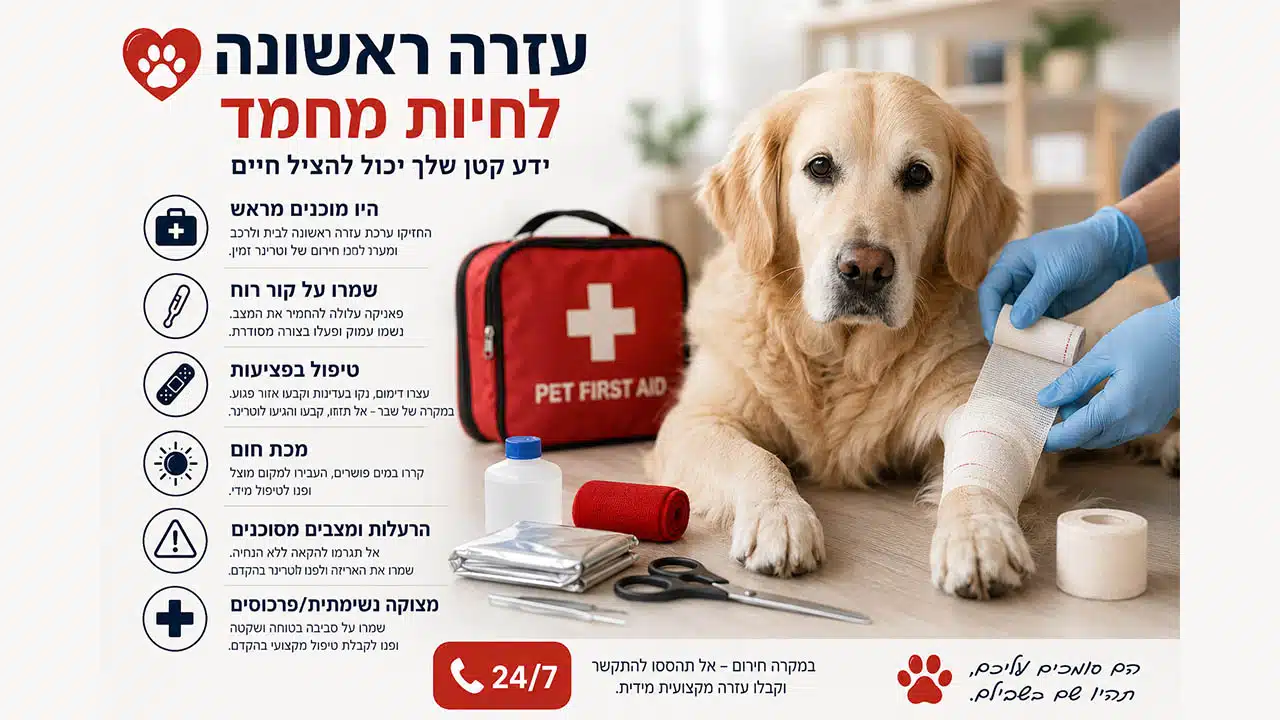 עזרה ראשונה לחיות מחמד