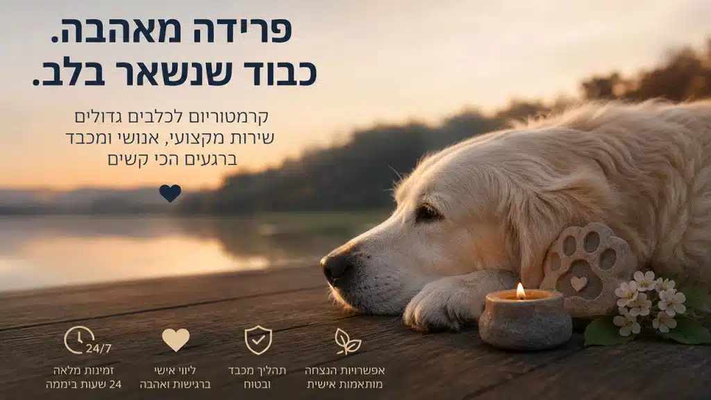 קרמטוריום לכלבים גדולים